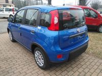 Nuova Fiat Panda S 69 CV (50 kW) 2025 Blu Utilitaria