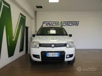 Usata Fiat Panda 4x4 60 CV (44 kW) 2009 Bianco Utilitaria