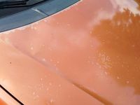 Usata Fiat Punto 80 CV (58 kW) 2005 Utilitaria