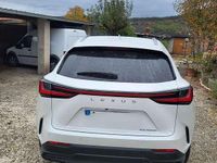 Usata Lexus NX200t 190 CV (139 kW) 2023 Bianco SUV