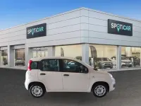 Usata Fiat Panda Easy 69 CV (50 kW) 2016 Beige Utilitaria