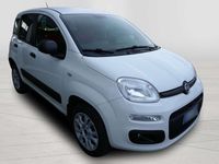 Usata Fiat Panda 4x4 S 86 CV (63 kW) 2020 Bianco Utilitaria