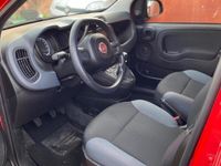 usata Fiat Panda 3ª serie - 2019