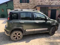 Usata Fiat Panda Cross Cross 90 CV (66 kW) 2015 Verde Utilitaria