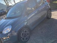 Usata Fiat Panda 69 CV (50 kW) 2022 Berlina