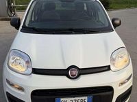 Usata Fiat Panda Easy 69 CV (50 kW) 2022 Utilitaria