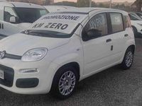 Usata Fiat Panda S 71 CV (52 kW) 2021 Bianco pastello Utilitaria