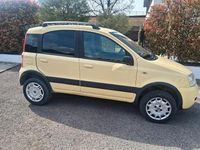 Usata Fiat Panda 4x4 Climbing 59 CV (43 kW) 2007 Giallo Utilitaria