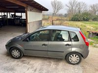 Usata Ford Fiesta 2002 Grigio Utilitaria