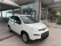 Usata Fiat Panda S 70 CV (51 kW) 2023 Bianco Utilitaria