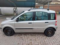 Usata Fiat Panda Dynamic 60 CV (44 kW) 2005 Grigio Berlina