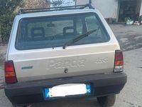 Usata Fiat Panda 4x4 Trekking 54 CV (39 kW) 1999 Grigio Utilitaria