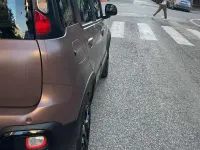 Usata Fiat Panda 4x4 S 86 CV (63 kW) 2020 Marrone Utilitaria