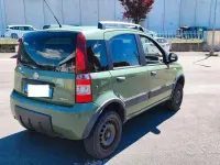 Usado Fiat Panda 4x4 69 HP (50 kW) 2010 Verde Citadino