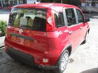 Usata Fiat Panda City Life 71 CV (52 kW) 2024 Rosso Utilitaria
