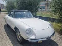 Usata Alfa Romeo Spider 90 CV (66 kW) 1966 Bianco Cabrio