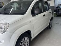 Usata Fiat Panda Connect 69 CV (50 kW) 2020 Utilitaria
