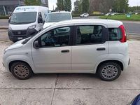 Usata Fiat Panda S 69 CV (50 kW) 2022 Bianco Utilitaria