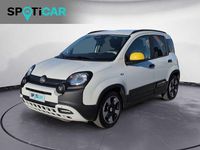 Usata Fiat Panda Cross Cross 69 CV (50 kW) 2025 Bianco Utilitaria