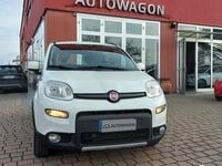 Usata Fiat Panda 4x4 S 95 CV (69 kW) 2016 Bianco Utilitaria