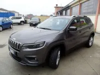 Usata Jeep Cherokee Longitude 194 CV (142 kW) 2019 Grigio SUV