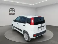Usata Fiat Panda 4x4 Pop 85 CV (62 kW) 2020 Bianco Utilitaria