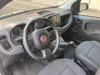 Usata Fiat Panda City Life 69 CV (50 kW) 2023 Bianco Utilitaria
