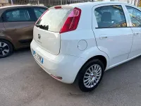 Usata Fiat Punto Lounge 85 CV (62 kW) 2016 Bianco Utilitaria