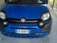 Usata Fiat Panda Cross Cross 69 CV (50 kW) 2017 Bluazzurro Utilitaria