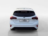 Usata Ford Focus ST-Line 125 CV (91 kW) 2023 Bianco Utilitaria