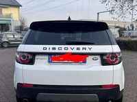 Usata Land Rover Discovery Sport SE 150 CV (110 kW) 2019 SUV