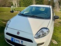 Usata Fiat Punto Easy 75 CV (55 kW) 2013 Utilitaria