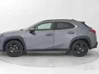 Usata Lexus UX 250h 184 CV (135 kW) 2022 Grigio SUV