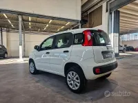 Usata Fiat Panda Easy 85 CV (62 kW) 2020 Bianco Utilitaria