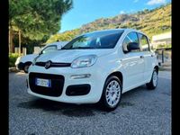 Usata Fiat Panda Connect 70 CV (51 kW) 2021 Bianco Utilitaria