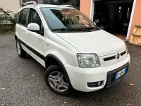 Usata Fiat Panda 4x4 Climbing 75 CV (55 kW) 2012 Bianco Utilitaria