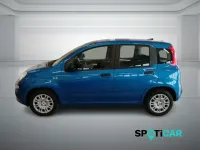 Nuova Fiat Panda Icon 69 CV (50 kW) 2025 Blu Utilitaria