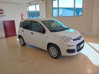 Nuova Fiat Panda Icon 69 CV (50 kW) 2025 Bianco pastello Utilitaria