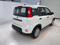 usata Fiat Panda Panda 1.0 FireFly S&S Hybrid