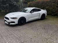 Usata Ford Mustang Fastback 317 CV (233 kW) 2020 Coupé