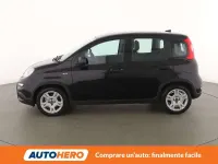Usata Fiat Panda S 71 CV (52 kW) 2023 Nero Utilitaria