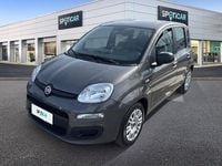 Usata Fiat Panda S 70 CV (51 kW) 2021 Grigio Utilitaria