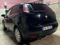 usata Fiat Punto PuntoIII 2012 5p 1.3 mjt II 16v Lounge 75cv E5+