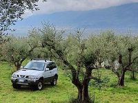 Usata Nissan Terrano 2001 SUV