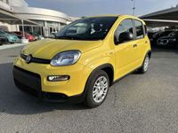 Usata Fiat Panda S 69 CV (50 kW) 2024 Giallo Utilitaria