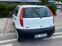 usata Fiat Punto 1.2 Neopatentati