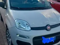 Usata Fiat Panda 85 CV (62 kW) 2015 Utilitaria