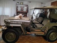 Usata Jeep Willys 73 CV (53 kW) 1954 Verde SUV