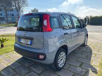 Usata Fiat Panda Easy 69 CV (50 kW) 2019 Grigio Utilitaria