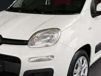 Usata Fiat Panda Easy 69 CV (50 kW) 2018 Grigio Utilitaria